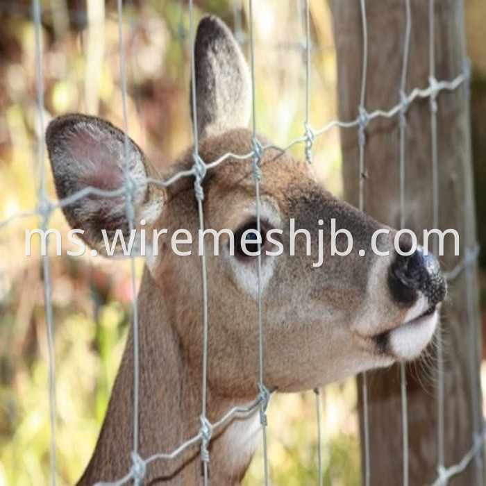 Woven Wire Deer Fence